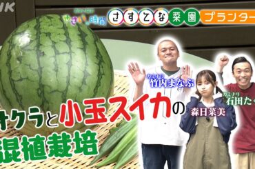 [やさいの時間] オクラ&スイカのプランター栽培をカミナリと森日菜美がご紹介&【6/23(日)放送告知】やさいの時間 | さすてな菜園プランター | NHK