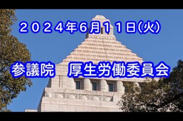 国会中継 参議院 厚生労働委員会（2024/06/11）