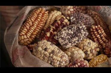 【見逃し配信】NHKスペシャル 食の欲望6月16日＜ヒューマンエイジ第3集/健康/加工食/穀物/再放送/TVer＞2024年6月16日FULL LIVE