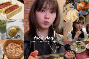 【今話題のお店】私のリアルすぎる6日間の食生活🍙焼肉、カフェ、和食などなど爆食いの毎日🍱 | foodvlog
