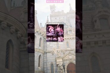 齋藤冬優花 東京ドームまであと3日！本日の一曲♪ 何度　LOVE SONGの歌詞を読み返しただろう