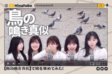『鳴き真似シスターズ』#日向坂46 #日向坂で会いましょう