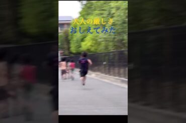 大人の厳しさ教えてみた #shorts #掛橋 #伊丹179