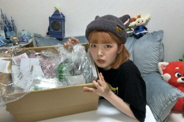 【生配信アーカイブ】かなぴーグッズ梱包終わるまで終われません生配信しながらファンタジースプリングスについて語ろうの会