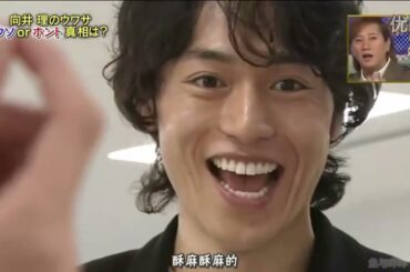 『シャッフルBISTRO』向井 理のウワサ ウソホント真相は? 綾瀬はるか×SMAP 大縄跳びに挑戦!!