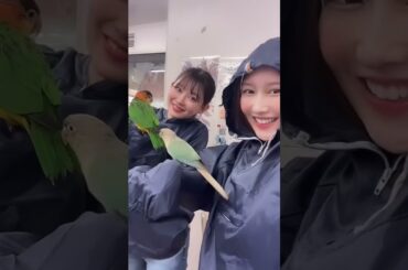 20240617 Yagura Fuko(矢倉楓子) Instagram(渡辺美優紀) 3