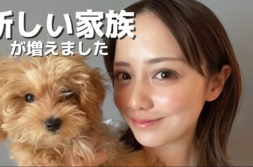 新しい家族が増えました🐶