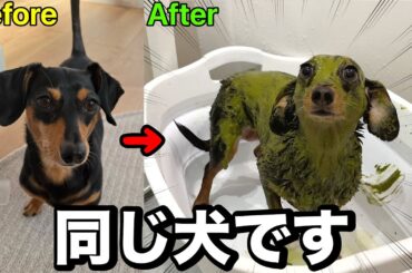 どうしてこうなったのか経緯を説明します