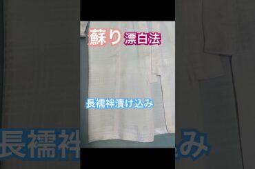 長襦袢蘇り漬け込み漂白法#着物丸洗い専門店#shorts