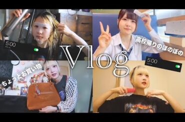 【Vlog】AM5:00に起きた日は全て順調に行くらしい？【のえのん】