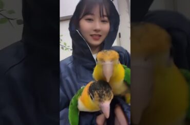 20240617 Yagura Fuko(矢倉楓子) Instagram 4