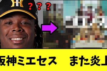 【悲報】阪神ミエセス　また炎上