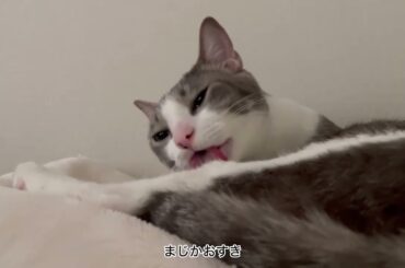 おていれアッシュくん