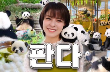 [SUB] 푸바오가 도착한 바로 그 곳..?! 판다 천국 청두 | Trip Diary in 청두 2편 | 판다기지, 훠궈, 동교기억, 춘시루, 아르떼뮤지엄