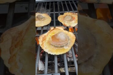 雪山で絶品ホタテバター醤油を作る！Make delicious scallop butter soy sauce on a snowy mountain #shorts #outdoor #asmr
