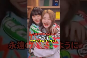 永遠の別れのように挨拶するサクラとキム・チェウォン [Lesserafim] #shorts