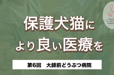【第6回】保護犬猫により良い医療を #大師前どうぶつ病院  〜保護犬猫支援基金 協力動物病院紹介〜