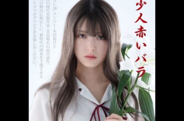 少人赤いバラチーム: れいか: 木村葉月