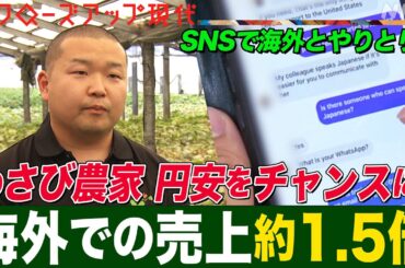 【円安をどう乗り切る】こんにゃくメーカーは輸出額150倍 SNSで海外とやり取りするわさび農家も 円安を追い風にするポイントは 海外投資の呼び込み？【クロ現】| NHK