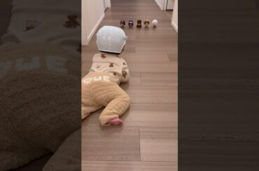 赤ちゃんは誰を選ぶかな？ #shorts #生後7か月 #赤ちゃん  #第五人格  #identityv