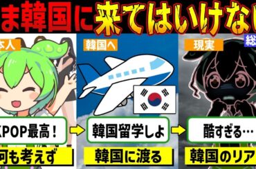 【実話】今、韓国に来てはいけない。日本の韓流ファンが知らない真実【ゆっくり解説ずんだもん】