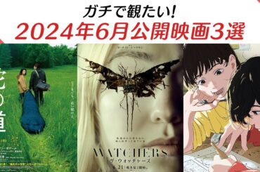 ガチで観たい！2024年6月公開映画3選