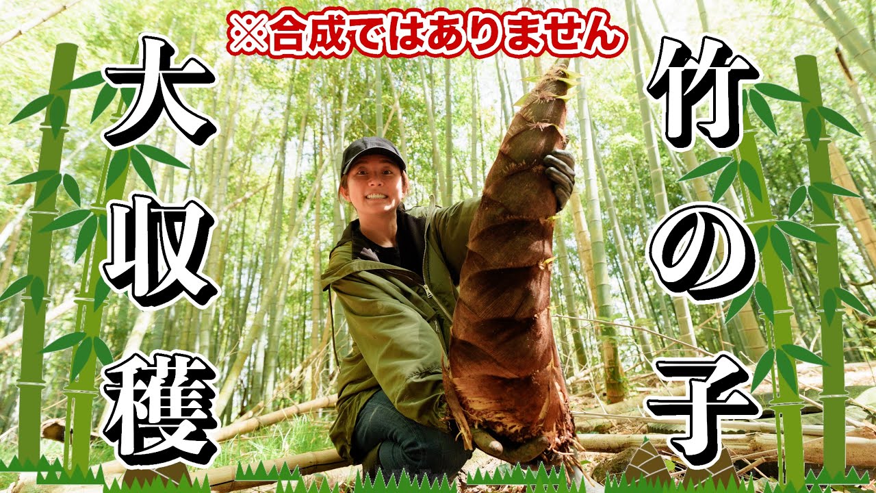 【静岡】好きすぎて掘るところから始めました【たけのこ掘り】 【静岡】好きすぎて掘るところから始めました【たけのこ掘り】