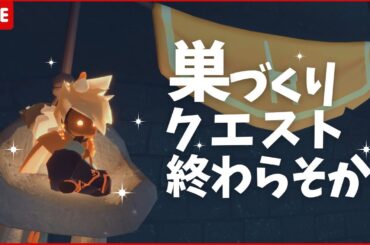 【sky】巣づくりの季節クエスト4と5終わらせてパン！🐶✨23時まで【sky星を紡ぐ子どもたち】