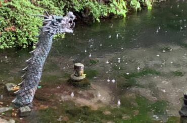 【巳の日】龍神の住まう大沼で参拝します＊集合意識で愛と調和の世界へ＊LIVE配信95#live配信