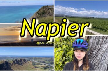 【NZ旅Vlog】ネイピア3泊4日の旅！これぞニュージーランドの本気！感動！
