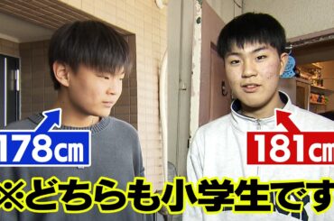【探偵！ナイトスクープ】身長178cmの小6男子 背の高い小学生に会いたい　ナイトinナイト