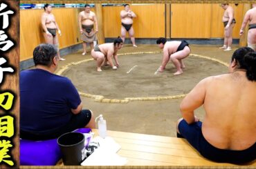 【15歳新弟子の初相撲】けんちん汁・鶏マヨ・とんぺい焼き・ポトフ・ねぎ焼き