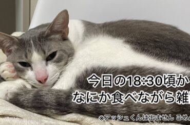 第24回 なにか食べながら雑談