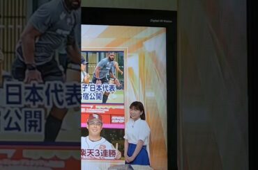 NHKおはよう日本　是永千恵アナウンサー　スポーツ　バレー