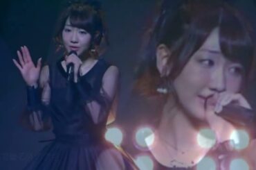 柏木由紀 『よわむしけむし』