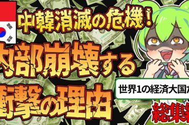 【総集編】韓国と中国の経済崩壊が止まらない驚愕の理由とは！？【ずんだもん＆ゆっくり解説】