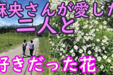 麻央さんが愛した二人と散歩の道に、見つけた好きだった花。