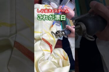 着物のシミを漂白するコツ、職人が解説#shorts