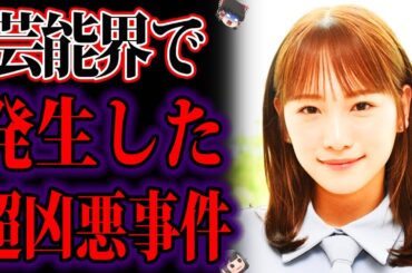 【ゆっくり解説】握手会襲撃、家族が犠牲に…芸能界で発生してしまった恐ろしすぎる事件