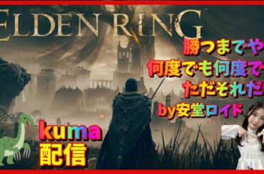 【エルデンリング】ネタバレ厳禁！影の地で新武器新要素探索します