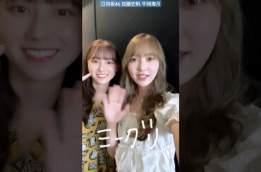 加藤史帆 平岡海月 猫のとしみっちゃん♪ 6月9日 ミーグリ