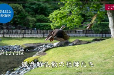 第1271回「鎌倉新仏教の祖師たち」2024/6/30【毎日の管長日記と呼吸瞑想】｜ 臨済宗円覚寺派管長 横田南嶺老師