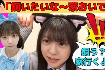 【冨里奈央】「家行くよ」オタをその気にさせるあざとなおなお/文字起こし（乃木坂46・のぎおび）