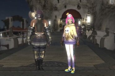 【ゲームゲノム】#46 ファイナルファンタジーXIV（FINAL FANTASY XIV）[PC版] 初見プレイ（17）【NHK】