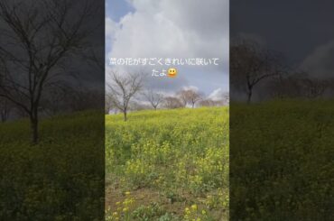 小宅古墳群にお花見🌸🍺🌸2024.0407