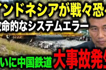 【海外の反応】遂に中国製のインドネシア鉄道で列車衝突事故が発生し日本に支援要請が！→国民「安全な鉄道が欲しい！！」【総集編】