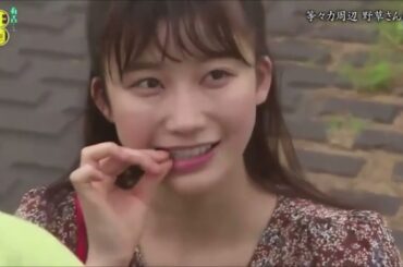 『有吉くんの正直さんぽ』 𒅒 🅷🅾🆃 ☂「等々力周辺 野草さんば?」🏃‍♀️🏃‍♂️🏃‍♂️