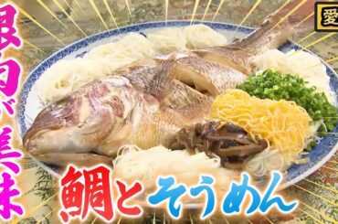 鯛王国 愛媛に眠る絶品鯛グルメ！つゆは鯛の煮汁をぶっかけ！？【秘密のケンミンSHOW極公式|2024年6月20日 放送】