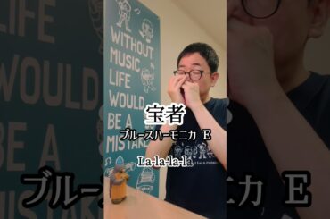 『宝者/アイナ・ジ・エンド』ブルースハーモニカ（E）　#ベンド　#さよならマエストロ　※ロングバージョンはInstagramまたはTikTokで(^)3^)♫