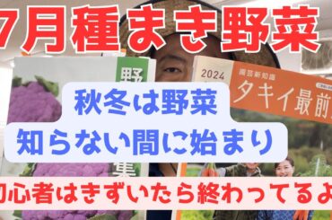 7月種まき野菜　秋冬野菜の種まきは真夏にはじまり知らない間に終わってる